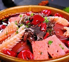 Premium Maoxuewang