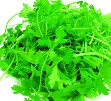 Celery