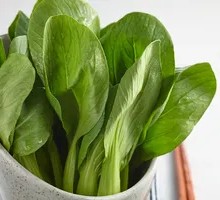 Oilseed lettuce