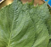 Perilla Leaf