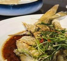 Spring Water Carp