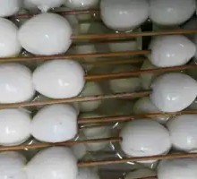 Quail Egg