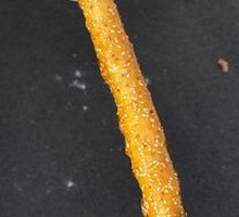Chinese Yam Stick