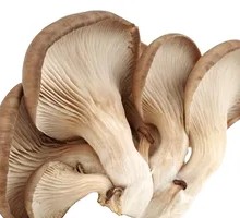 Mushroom Stir-fry