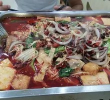 Squid