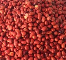 Fried Peanuts