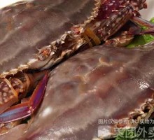 Live Swimming Crab