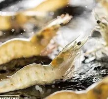 Sea White Shrimp