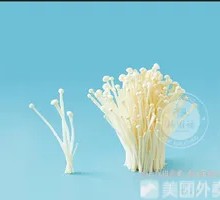 Enoki Mushroom