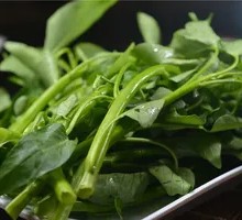 Water spinach