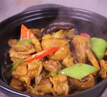 Stewed Chicken with Brown Sauce