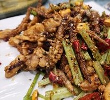 Spicy Squid