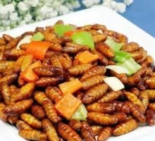 香辣蚕蛹