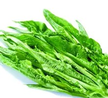 Snail and Bok Choy Stir-fry