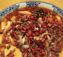 New-style Maoxuewang