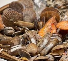 Seafood Platter