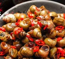 Spicy Water Snail