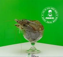 Large Shrimp