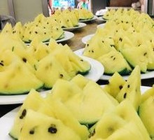 Renfeng Watermelon