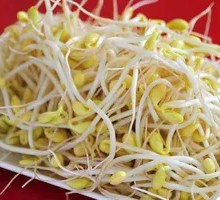 Sour Stir-Fried Bean Sprouts