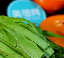 Oilseed lettuce