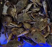 Three-point Crab