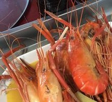 Large Head Shrimp