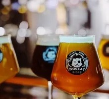 Mixed Fruit IPA