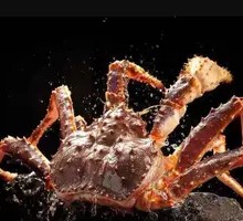 Deep Sea King Crab