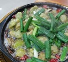 Broad Bean