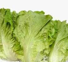Lettuce