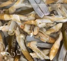 Bamboo Clam King