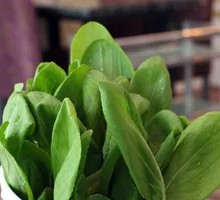 Green Vegetables