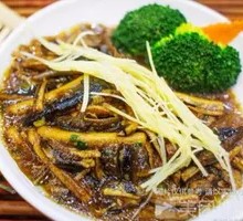 Eel Strips