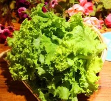 Lettuce