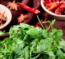 Cilantro Beef