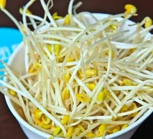 Bean sprouts
