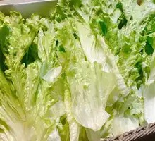 Lettuce