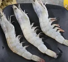 Large Shrimp