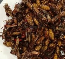 Salted Pepper Grasshoppers
