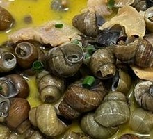 Clear Water Snails