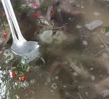 汤锅