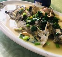 Bitterling Fish