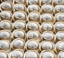 Handmade Dumplings