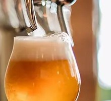 Craft Fresh Beer