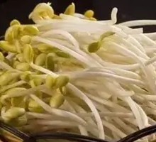 Mung Bean Sprouts