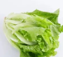 Lettuce