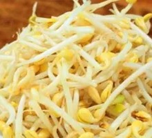 Mung Bean Sprouts