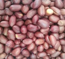 Honey Crispy Peanuts