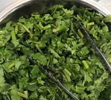 Cilantro